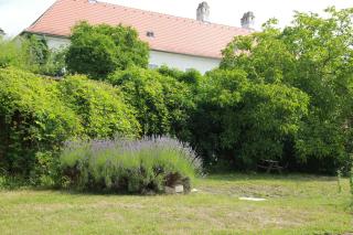 Wohnen im Meierhof - 2