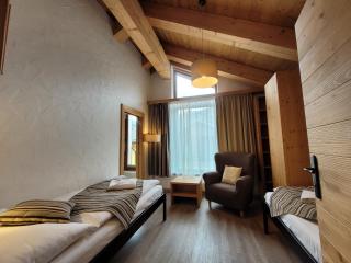 Chalets Jasná Centrum APARTMENT S - Free Jacuzzi & Sauna and Chopok view - 1