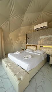 RUM NADINE LUXURY CAMP & Bubbles Hotel - 9