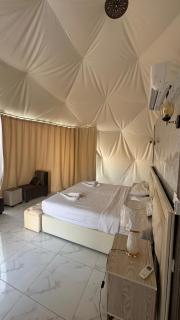 RUM NADINE LUXURY CAMP & Bubbles Hotel - 8