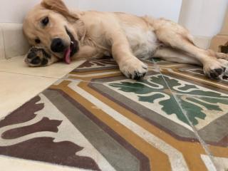 Volte e cementine centro storico Lecce - 8