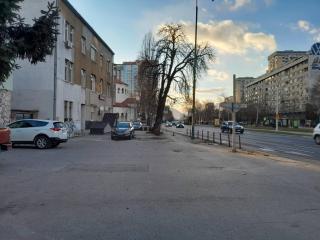 Sunflower - Sarajevo - 8