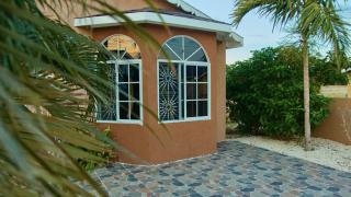 Tropical Oasis - your home away from home - 1