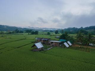 มองนาภูคาน่านโฮมสเตย์ - 9