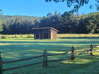 Cabaña Nahuelbuta Adventure - 9