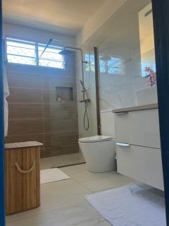 Vi la dous Kreyol - 6