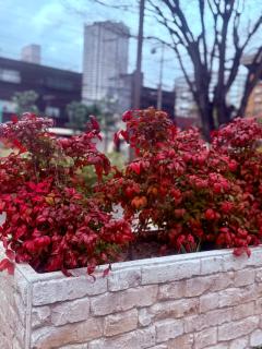 楓の宿1号館 - 7