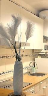 Apartament Nicoletta 2 Costa Blanca Torrevieja - 4