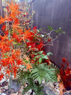 楓の宿1号館 - 3