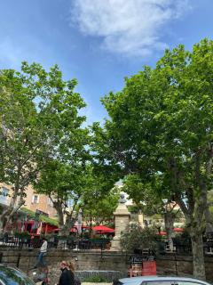 Calvi apartment 75 m2 city center - 9