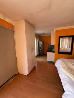 Spacious Entire place with Balcony - 1