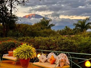 Pink Flamingo Boutique Hotel - Moshi - 6