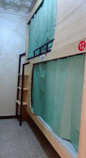 锦鲤JinLi Voyageur - 5