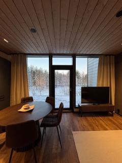 Great new apartment near the center of Levi - 4