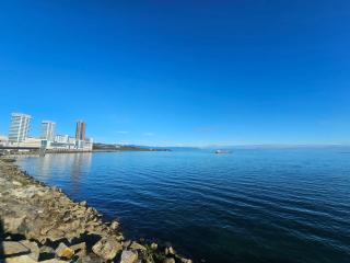 Cabañas Bellavista del Sur - 3