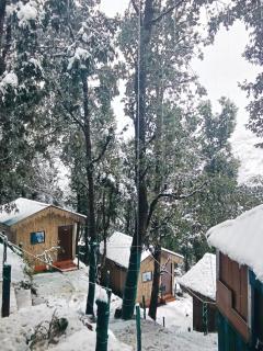 TTN - The Trekker's Nest - 9