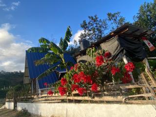 Canada House Queen bed in 2nd floor dbl sofa bed in 1st floor BBQ Private pool, river - 5