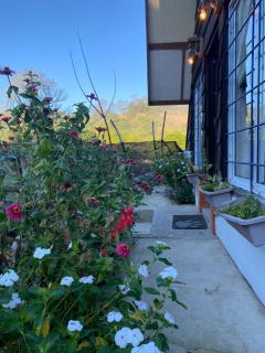 Canada House Queen bed in 2nd floor dbl sofa bed in 1st floor BBQ Private pool, river - 4