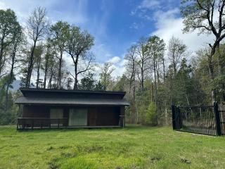 Cabañas del Bosque de Hualles - 0