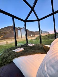 Aurora Glass Cabin I Private Sauna and Jacuzzi - 9