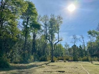 Cabañas del Bosque de Hualles - 3