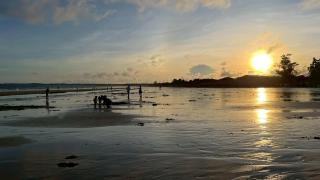 Shan-Shih Homestay - 6