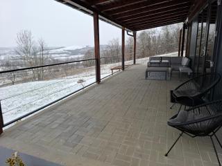 Cuibul de pe Deal Coșdeni Bihor - 8