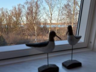 Ferienwohnung Bernsteinsucher städtische Bestlage - 1