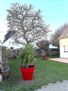 MAISON NEUVE LUMINEUSE AU CALME PROCHE DES PLAGEs - Quiberon - 5