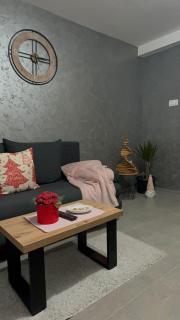 Apartman Basarac - 8