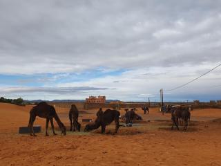 Ouberge la tradition - 1