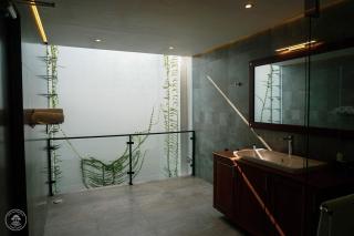 The Mangrove Sanctuary - 7