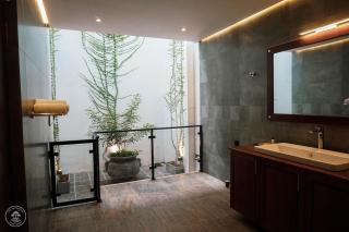 The Mangrove Sanctuary - 4