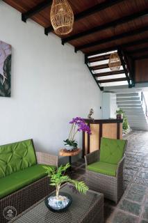 The Mangrove Sanctuary - 3