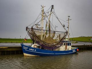 Ferienhof Eckelehe, Wremen -  - 6