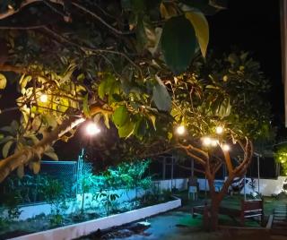 Mountain View Anilao - 2