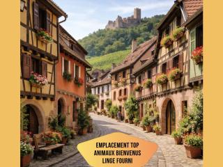 Maison avec jardin - 6 personnes - Top emplacement - 0