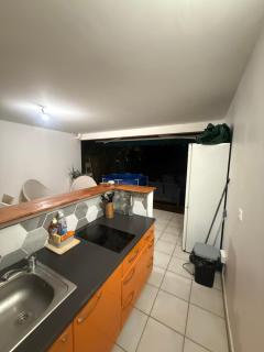 Cozy studio with garden terrace Didier neighborhood - 2