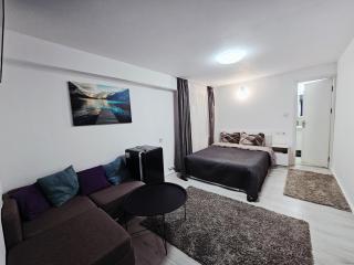 Vila Giulia Voineasa - 9