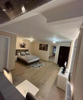 Olimpic Apartmani BG - Batajnica - 6