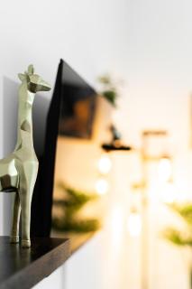 Spacious Apartment near Edgbaston - 2