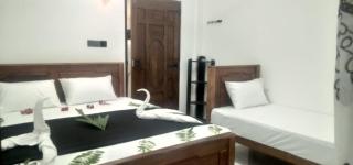 Dilithy Paradise - 3