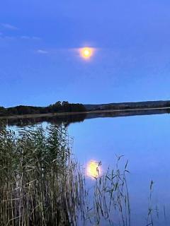 Seeidyll Potzlower See - 4