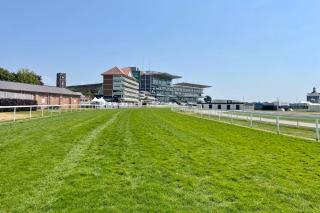 The Knavesmire - Quaint Victorian Home - Free Parking - Pet Friendly - 5