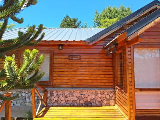 Parajes del Lejano sur Cabaña El Choique - Moquehue - 1