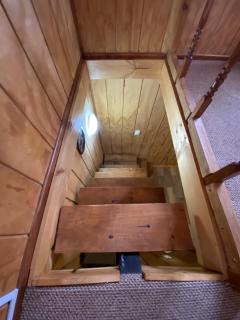 Estudio pareado de madera en Valdivia - 8