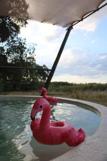 El Nómada Glamp - 6