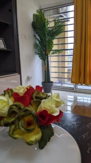 Studio meublé très chic - 9