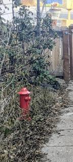 Uptown Estates - Peak Haven - Stay Explore Belong - 1