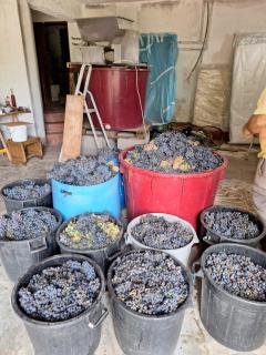 Quinta da Portela - 5